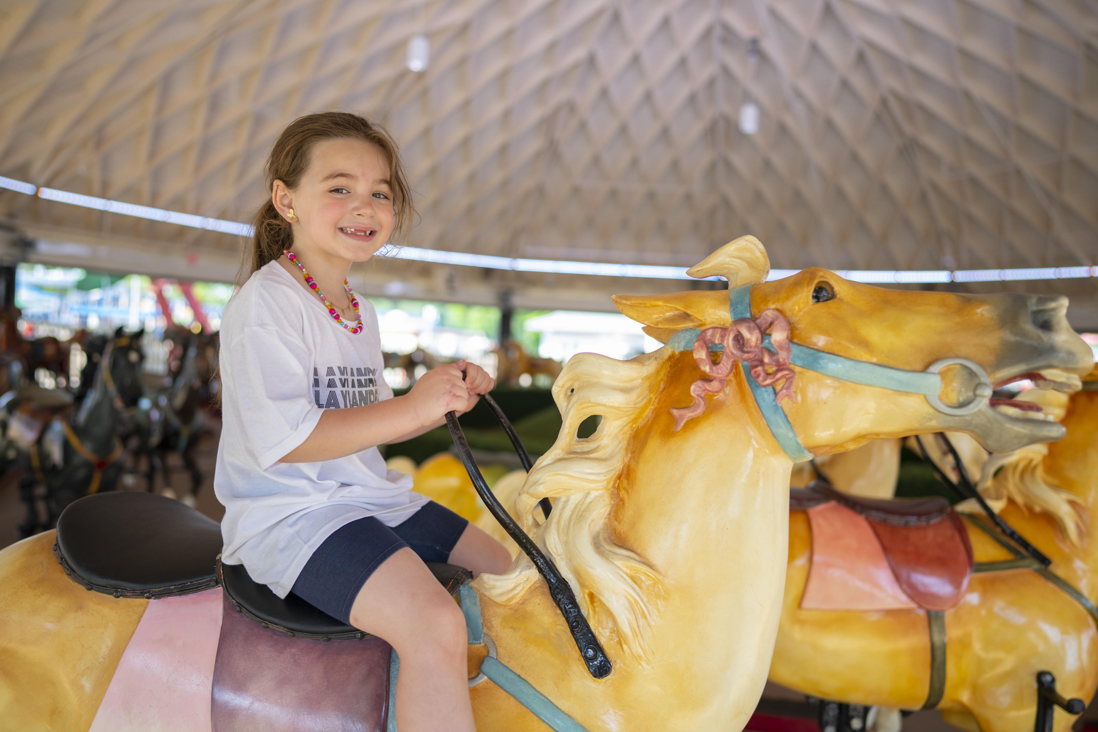 Data-led go-to-market for a historic American amusement park